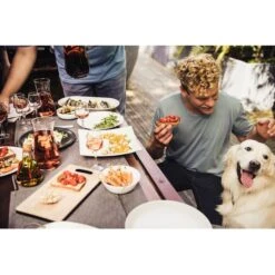 Campingaz Attitude 2100 EX, Gasgrill 37 Campingaz Attitude 2100 EX, Gasgrill -ALTERNATE Campingaz Attitude 2100 EX Gasgrill@@1crcm00w 17