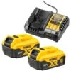 DEWALT Starter-Set Akku-Kit DCB1104P2, 18Volt, Ladegerät
