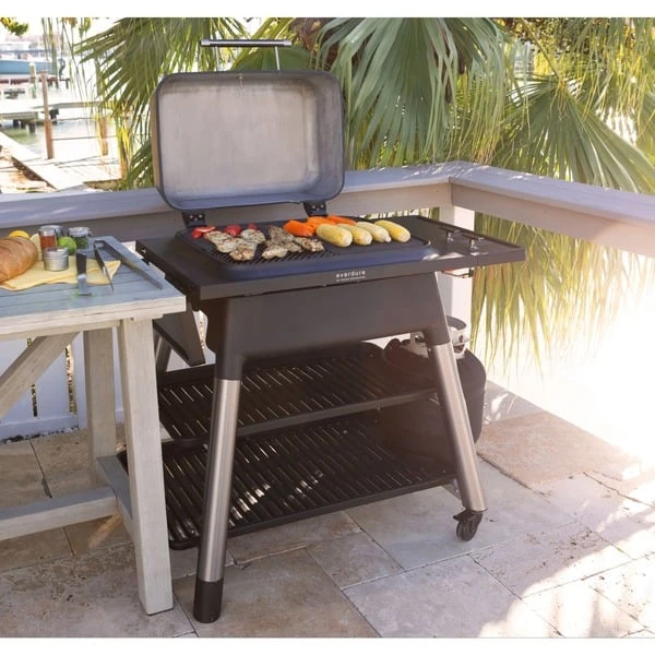 Everdure FORCE Gasgrill, Stone (hellgrau, 6,4 KW) 4 Everdure FORCE Gasgrill, Stone (hellgrau, 6,4 KW) – Bild 4