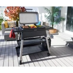 Everdure FURNACE Gasgrill, Graphite (graphit, 8 KW ) -ALTERNATE Everdure FURNACE Gasgrill Graphite@@100041369 4