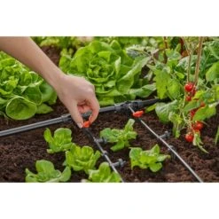 GARDENA Micro-Drip-System Endtropfer 2 L/h, Druckkompensierend 11 GARDENA Micro-Drip-System Endtropfer 2 L/h, Druckkompensierend -ALTERNATE GARDENA Micro Drip System Endtropfer 2 l h druckkompensierend@@1890341 5