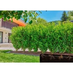 GARDENA Micro-Drip-System Tropfrohr Für Büsche/Hecken 1,6 L/h, 50 Meter, Tropfer -ALTERNATE GARDENA Micro Drip System Tropfrohr f r B sche Hecken 1 6 l h 50 Meter Tropfer@@1890357 3