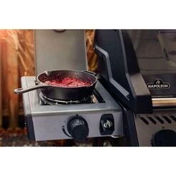 Napoleon Gasgrill Freestyle 365 SB Graphit, Mit Seitenbrenner -ALTERNATE Napoleon Gasgrill Freestyle 365 SB Graphit mit Seitenbrenner@@1680027 18