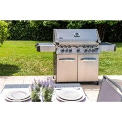 Napoleon Gasgrill Prestige 665 37 Napoleon Gasgrill Prestige 665 -ALTERNATE Napoleon Gasgrill Prestige 665@@9ggfen1m 17