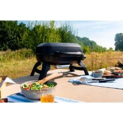 Napoleon Gasgrill TRAVELQ 240 -ALTERNATE Napoleon Gasgrill TRAVELQ 240@@1872821 13
