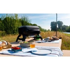 Napoleon Gasgrill TRAVELQ 240 -ALTERNATE Napoleon Gasgrill TRAVELQ 240@@1872821 14