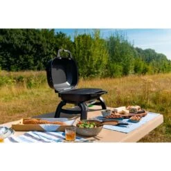 Napoleon Gasgrill TRAVELQ 240 -ALTERNATE Napoleon Gasgrill TRAVELQ 240@@1872821 16