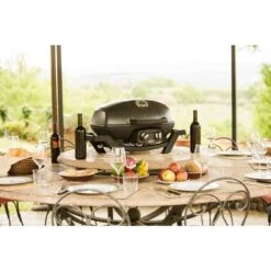 Napoleon Gasgrill TravelQ PRO285 -ALTERNATE Napoleon Gasgrill TravelQ PRO285@@9ggfen0o 11