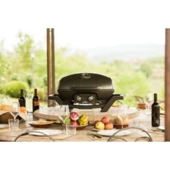 Napoleon Gasgrill TravelQ PRO285 -ALTERNATE Napoleon Gasgrill TravelQ PRO285@@9ggfen0o 13