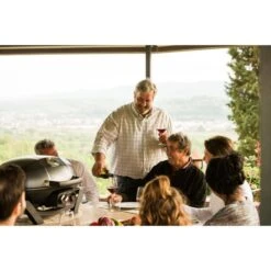 Napoleon Gasgrill TravelQ PRO285 -ALTERNATE Napoleon Gasgrill TravelQ PRO285@@9ggfen0o 14