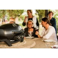 Napoleon Gasgrill TravelQ PRO285 -ALTERNATE Napoleon Gasgrill TravelQ PRO285@@9ggfen0o 15
