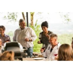 Napoleon Gasgrill TravelQ PRO285 -ALTERNATE Napoleon Gasgrill TravelQ PRO285@@9ggfen0o 16