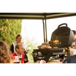 Napoleon Gasgrill TravelQ PRO285 -ALTERNATE Napoleon Gasgrill TravelQ PRO285@@9ggfen0o 17