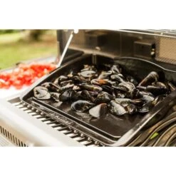 Napoleon Gusseisen-Plancha, Grillplatte -ALTERNATE Napoleon Gusseisen Plancha Grillplatte@@9ggzzn0s 5