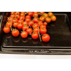 Napoleon Gusseisen-Plancha, Grillplatte -ALTERNATE Napoleon Gusseisen Plancha Grillplatte@@9ggzzn0s 7