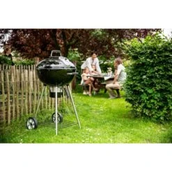 Napoleon Holzkohlegrill Charcoal Kettle N22K -ALTERNATE Napoleon Holzkohlegrill Charcoal Kettle N22K@@9ggffn03 17