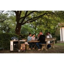 Napoleon Holzkohlegrill PRO22K, Im Rollwagen 33 Napoleon Holzkohlegrill PRO22K, Im Rollwagen -ALTERNATE Napoleon Holzkohlegrill PRO22K im Rollwagen@@9ggffn01 13