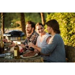 Napoleon Holzkohlegrill PRO22K, Im Rollwagen 39 Napoleon Holzkohlegrill PRO22K, Im Rollwagen -ALTERNATE Napoleon Holzkohlegrill PRO22K im Rollwagen@@9ggffn01 19