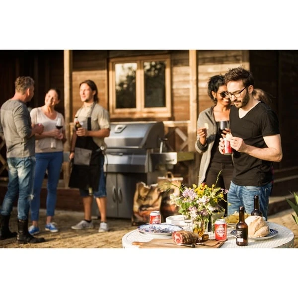 Napoleon Holzkohlegrill PRO605CSS 10 Napoleon Holzkohlegrill PRO605CSS – Bild 10