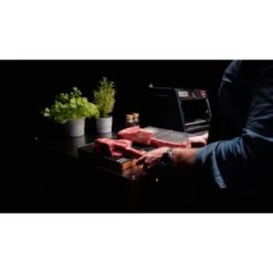 Otto Wilde Grillers O.F.B. Lite, Gasgrill -ALTERNATE Otto Wilde Grillers O F B Lite Gasgrill@@9ggeeo02 11