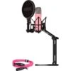 Rode Microphones NT1 Signature +XLR-Kabel+Desktop Studio Arm , Mikrofon (pink, Bundle)
