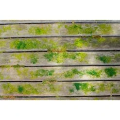 Ryobi Akku-Oberflächenreiniger RY18PCB-0, 18Volt, Hartbodenreiniger -ALTERNATE Ryobi Akku Oberfl chenreiniger RY18PCB 0 18Volt Hartbodenreiniger@@1912723 7