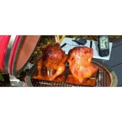 TFA Funk-Ofenthermometer Küchen-Chef Twin 10 TFA Funk-Ofenthermometer Küchen-Chef Twin -ALTERNATE TFA Funk Ofenthermometer K chen Chef Twin@@1836964 4