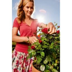 WOLF-Garten Gartenschere RR 4000 "Premium Plus" -ALTERNATE WOLF Garten Gartenschere RR 4000 Premium Plus @@1346882 7