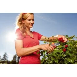 WOLF-Garten Gartenschere RR 4000 "Premium Plus" -ALTERNATE WOLF Garten Gartenschere RR 4000 Premium Plus @@1346882 8