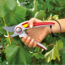 WOLF-Garten Gartenschere RR 5000 "Alu Professional" -ALTERNATE WOLF Garten Gartenschere RR 5000 Alu Professional @@9whggf0g 32