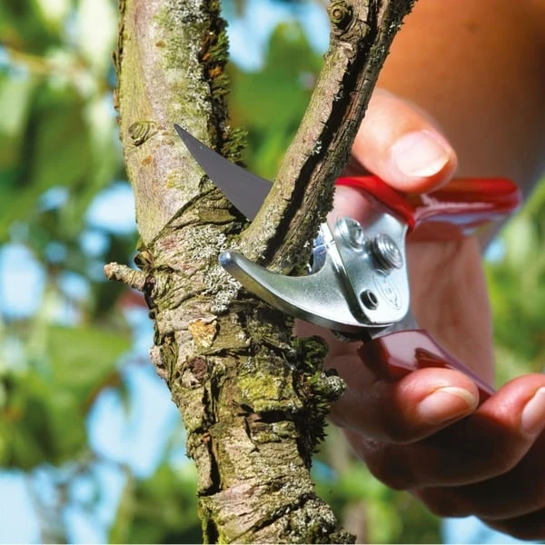 WOLF-Garten Universal-Gartenschere 2 WOLF-Garten Universal-Gartenschere – Bild 2