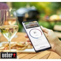 Weber Connect Smart Grilling Hub, Thermometer -ALTERNATE Weber Connect Smart Grilling Hub Thermometer@@1600833 6