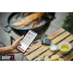 Weber Connect Smart Grilling Hub, Thermometer -ALTERNATE Weber Connect Smart Grilling Hub Thermometer@@1600833 8
