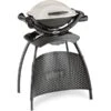 Weber Gasgrill Q 1000 Stand Titan