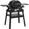 Weber Gasgrill Q 1200N Mit Stand (schwarz, 2,93 KW, Mit Seitentischen)