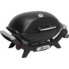 Weber Gasgrill Q 2100N (schwarz, 4,10 KW)