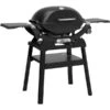 Weber Gasgrill Q 2200N Mit Stand (schwarz, 4,10 KW, Mit Seitentischen)