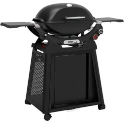 Weber Gasgrill Q 2800N+ Mit Premium-Rollwagen (schwarz, 5,28 KW, Mit Seitentischen)