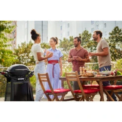 Weber Gasgrill Q 2800N+ Mit Premium-Rollwagen (schwarz, 5,28 KW, Mit Seitentischen) 15 Weber Gasgrill Q 2800N+ Mit Premium-Rollwagen (schwarz, 5,28 KW, Mit Seitentischen) -ALTERNATE Weber Gasgrill Q 2800N mit Premium Rollwagen@@100108666 7