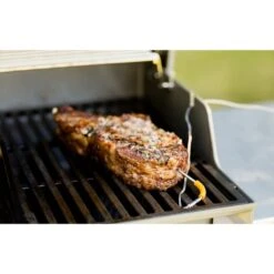 Weber Grillthermometer IGrill 3 -ALTERNATE Weber Grillthermometer iGrill 3@@1303167 7