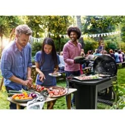 Weber Holzkohlegrill Performer Premium GBS Edition 38 Weber Holzkohlegrill Performer Premium GBS Edition -ALTERNATE Weber Holzkohlegrill Performer Premium GBS Edition@@1805697 18