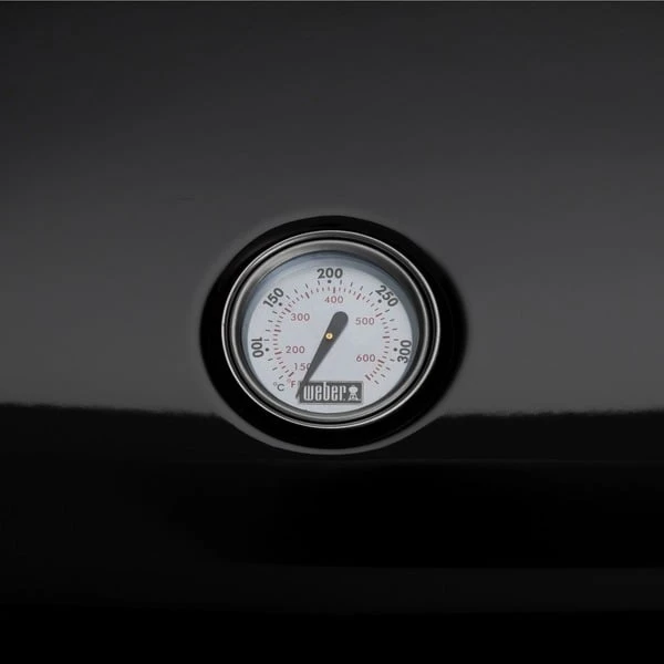 Weber Lumin Elektrogrill 5 Weber Lumin Elektrogrill – Bild 5