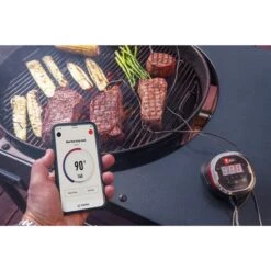 Weber IGrill 2 Mit Zwei Messfühlern 7221, Thermometer -ALTERNATE Weber iGrill 2 mit zwei Messf hlern 7221 Thermometer@@1303166 10