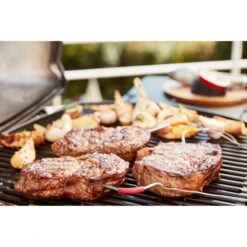 Weber IGrill Pro Messfühler Für Grillgut, Thermometer -ALTERNATE Weber iGrill Pro Messf hler f r Grillgut Thermometer@@1303168 13